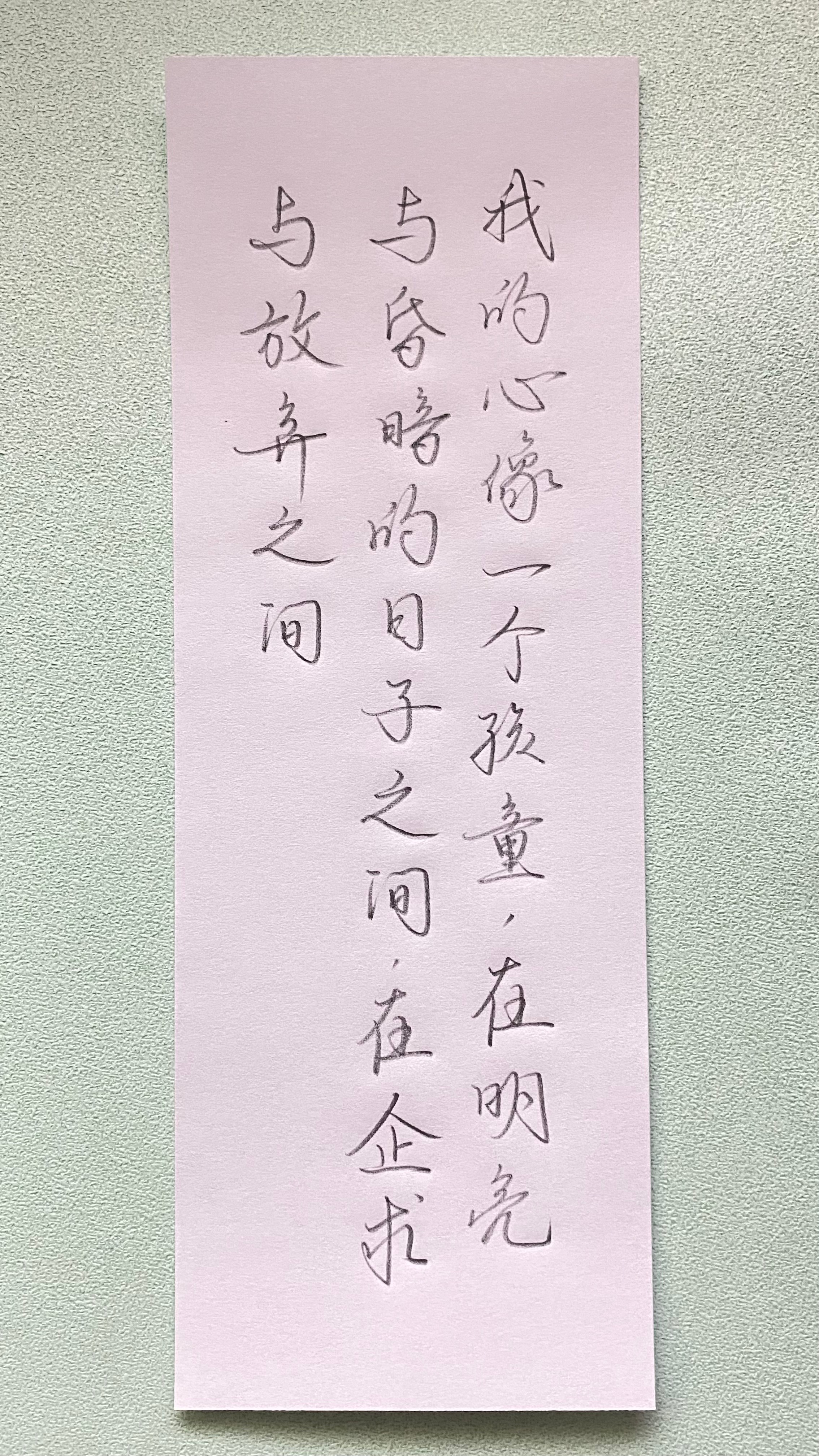 今日作业（2024.12.30）我的心像一个孩童，在明亮与昏暗的日子之间，在企求