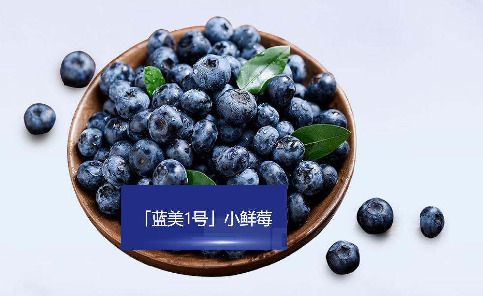 我国蓝莓产业的现状与思考
摘要：蓝莓全球化种植格局已经形成，我国成为全球种植面积