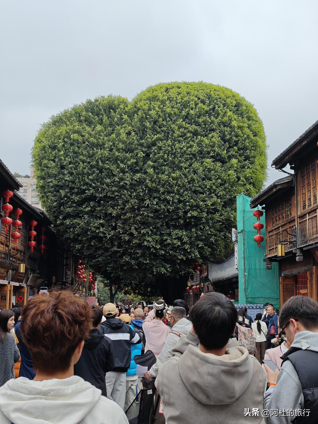 福州灯笼，小桥流水，比白天温柔许多。在这里吃晚饭，吃饱沿河走一圈，看灯影在水里晃