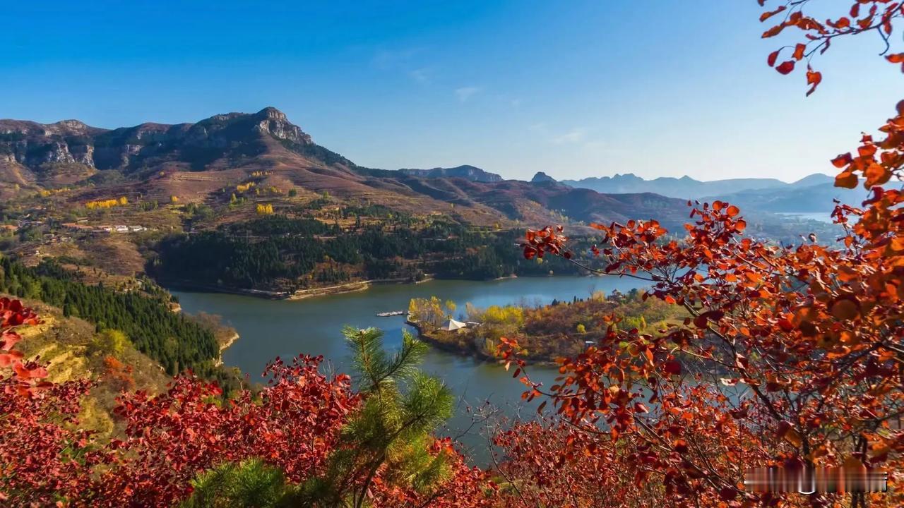 品茗读书观山景，
斗转星移岁时新。
茶粗不为求好味，
书古自在雅趣中。