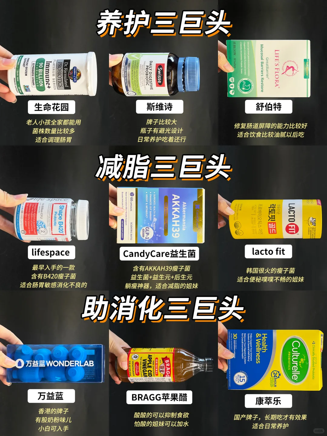 爆改易胖体质 网红减脂益生菌码住不踩坑