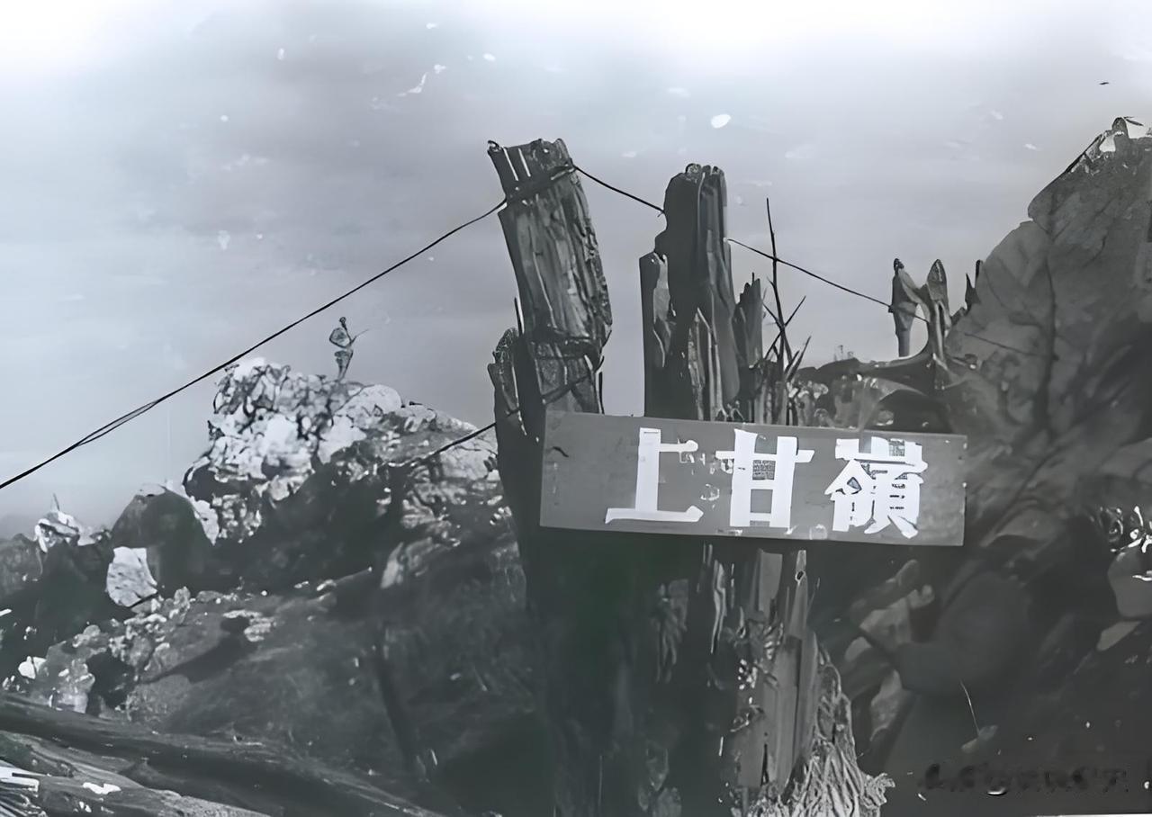 真实的上甘岭到底有多惨烈？一位老兵直言，若把战场真相拍成电影，恐怕没人再敢轻易穿