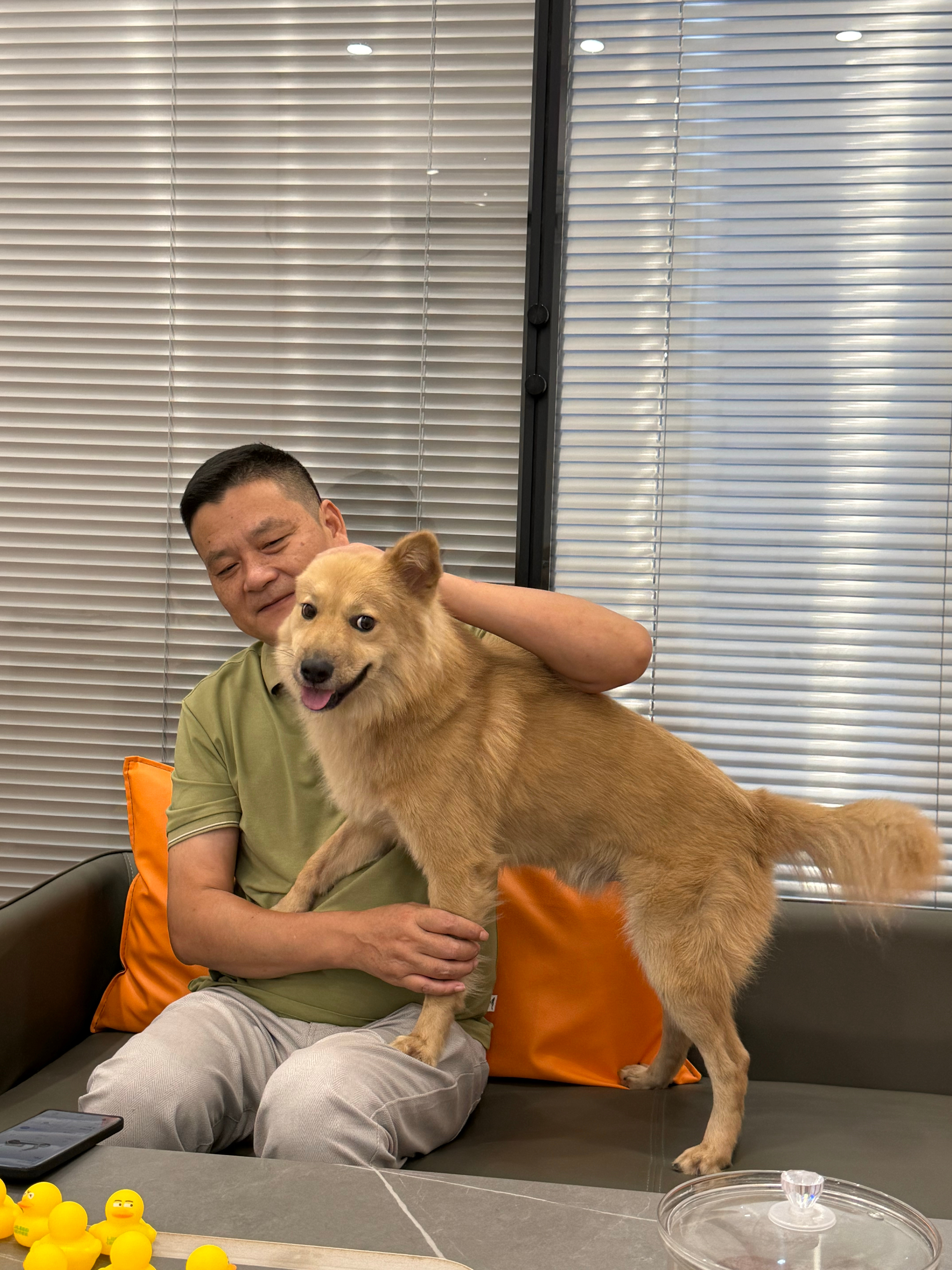 萌宠我的狗狗叫球球我的狗狗叫余球球宠物日常中华田园犬 球总：这样的班我愿意天天上