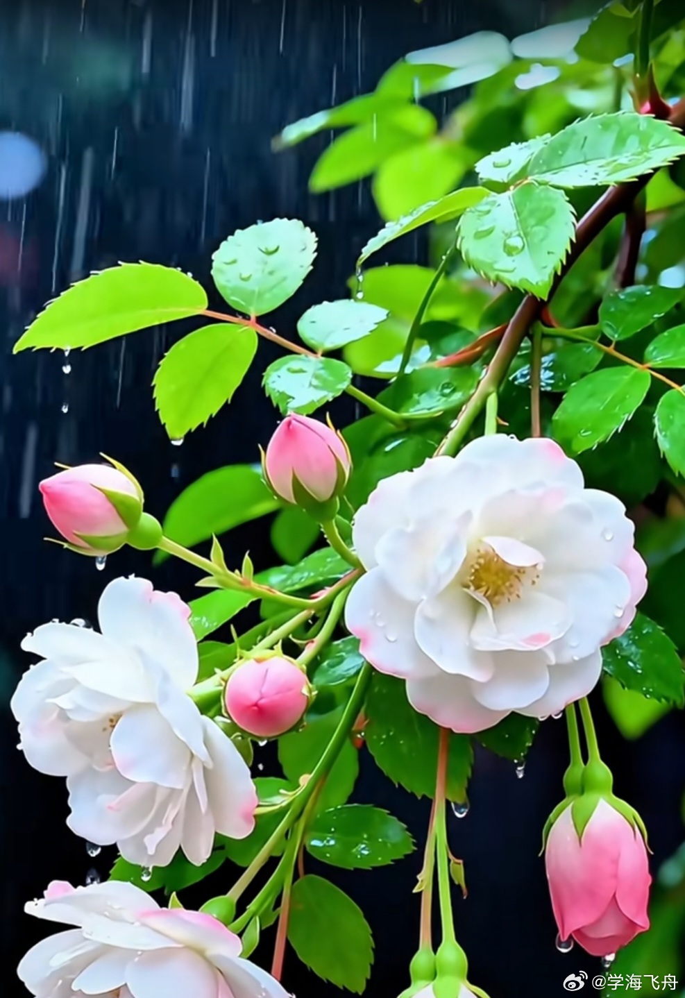 中东战事余震未消，今天A 股大盘沿袭了昨天下行的走势：东方财富App显示的10项