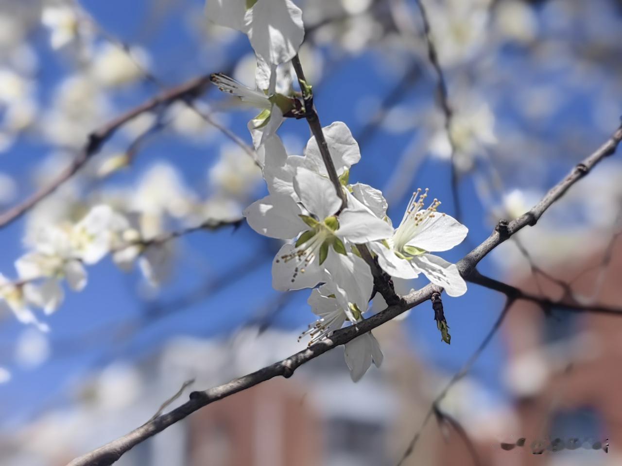 我今年54岁，已经退休三年了，说实话，我现在真不羡慕上班的人。

我上班的时候，