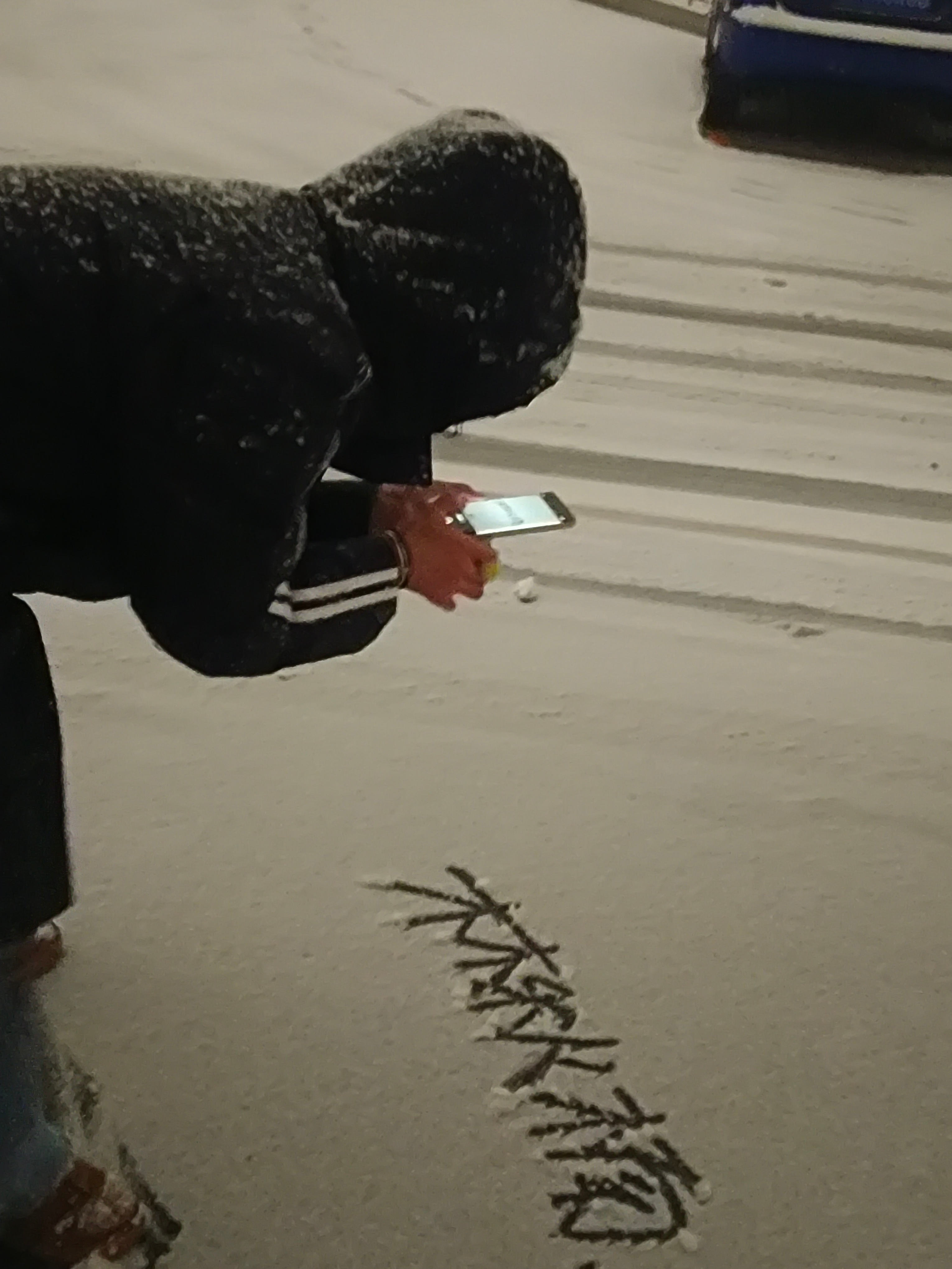 林秋楠误闯林秋楠的朋友圈 🎃林秋楠未来可期 下雪啦林秋楠