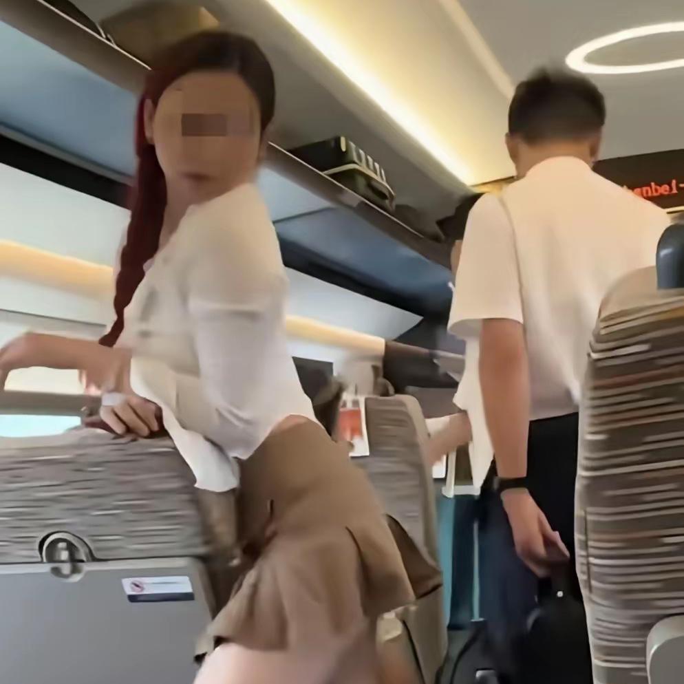 高铁上碰到个女的。
真给我看吐了。
我坐G153次，车厢连接处，她拿补光灯架行李