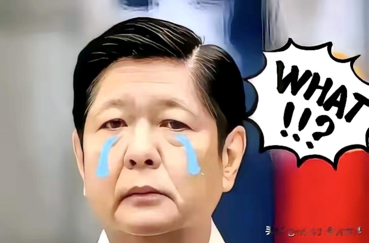 就在刚刚

菲律宾正式宣布

11月11日，菲律宾国家减灾管理委员会最新通报，台