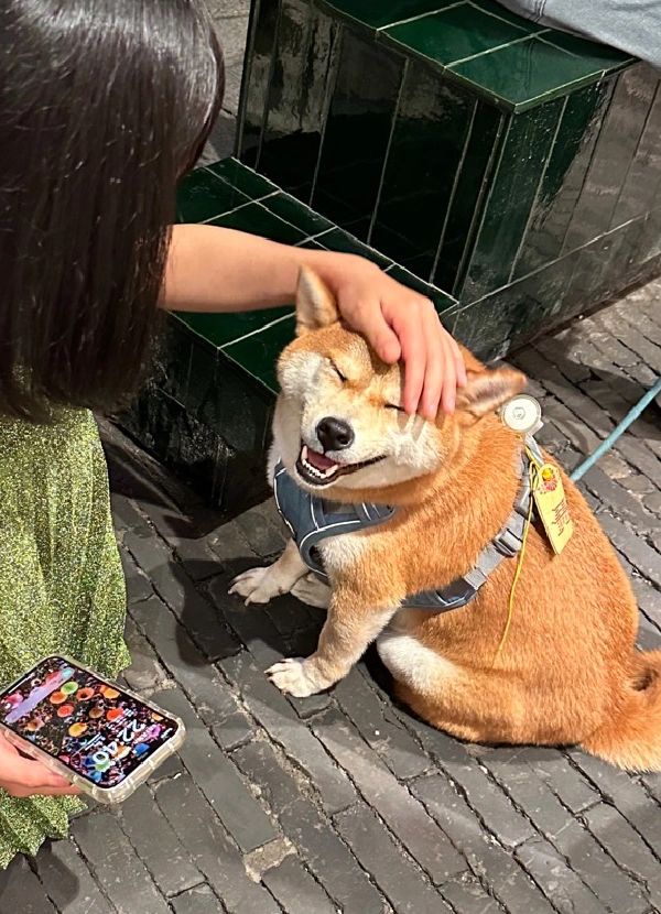 谁家的小八嘎到处被美女姐姐摸！