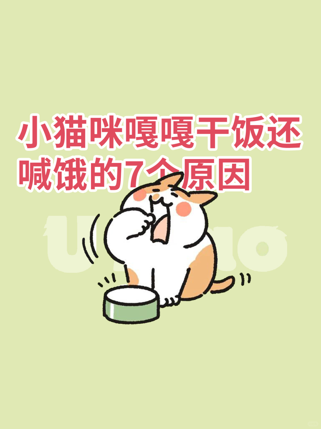 小猫咪为啥嘎嘎干饭，还是喊肚子饿？