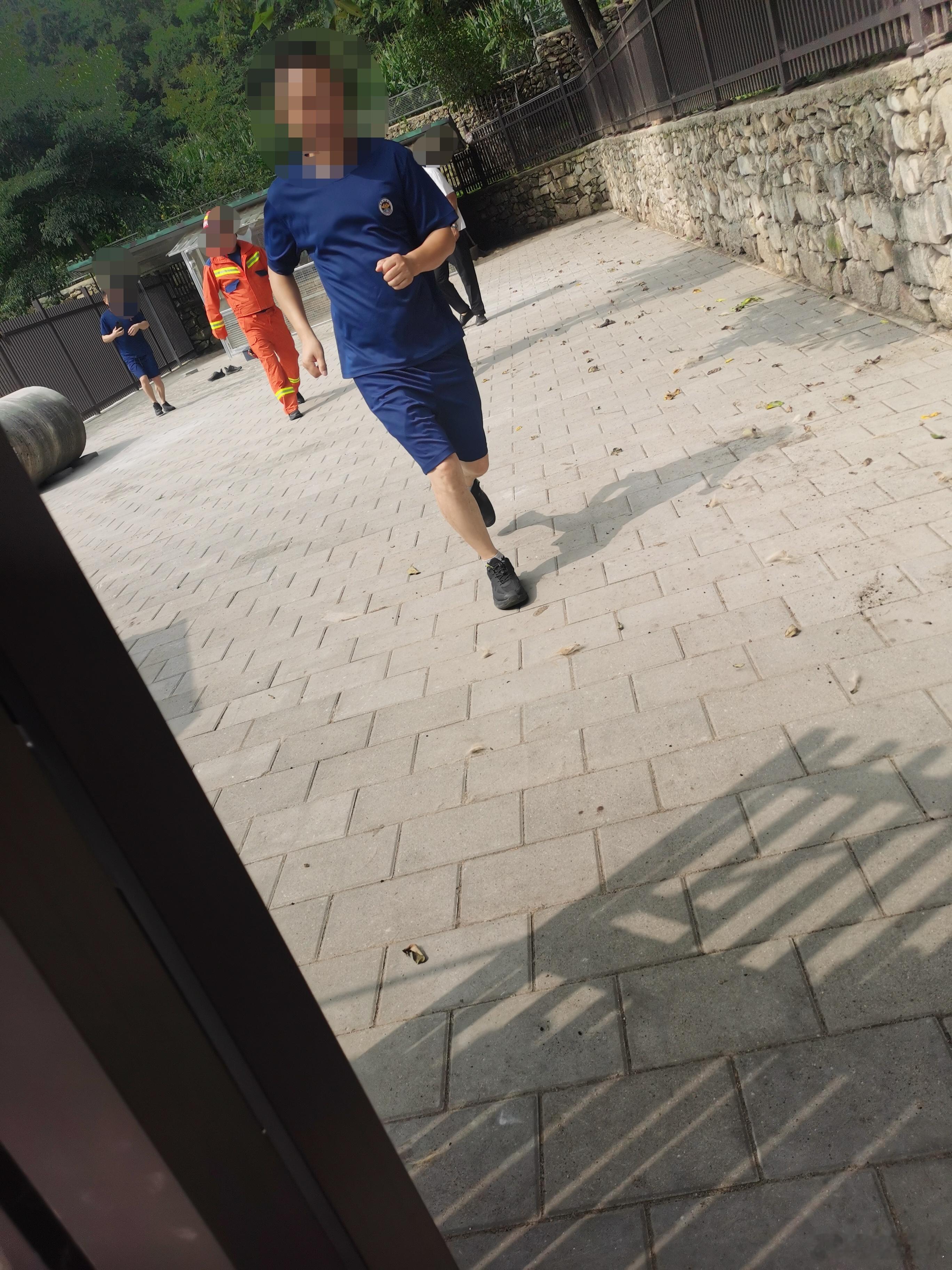 赞一下我们镇上的消防救援狗屋屋檐下有个脸盆大的马蜂窝，老吴也不敢自己清理，试着给