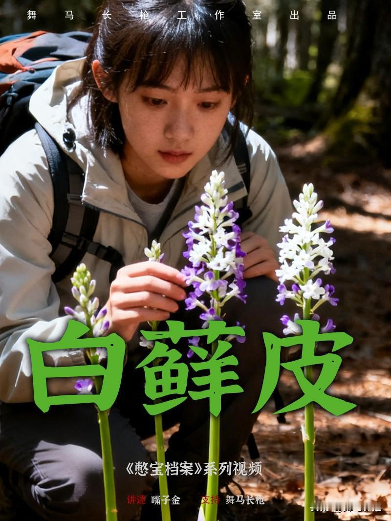 白藓皮，又名“白羊鲜”。
我听人说，仲春时节，它散发出的膻腥之气可透石壁，直贯地