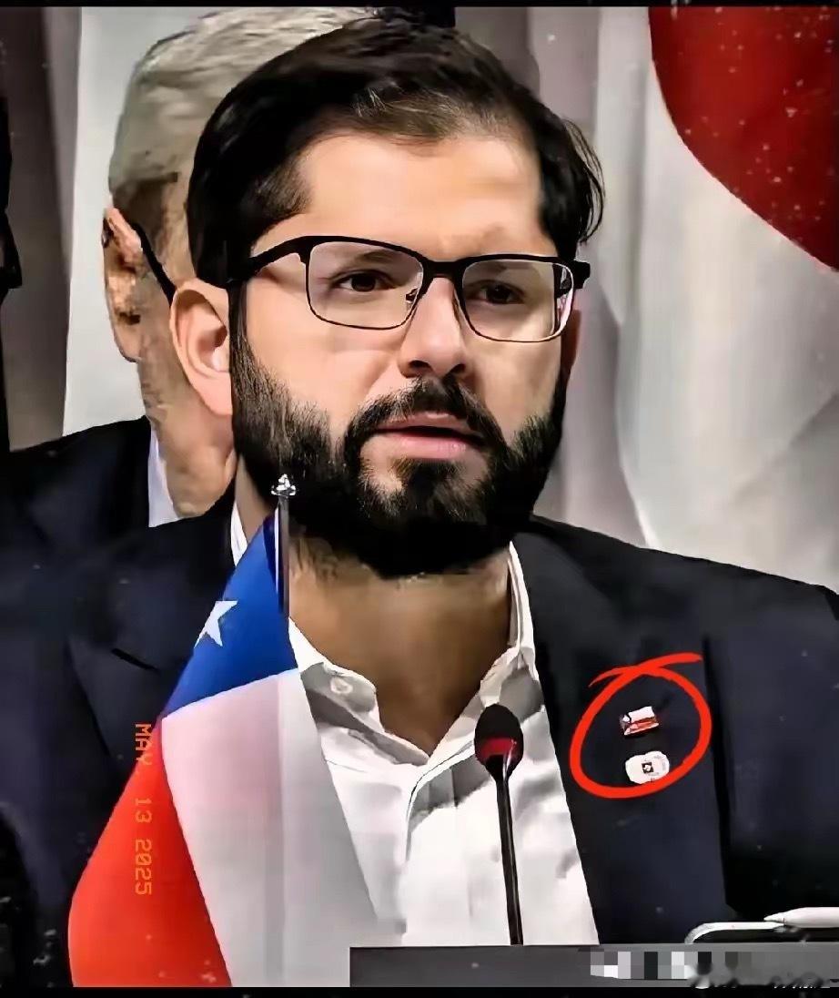 万万没想到​智利总统博里奇5月12日晚间突访北京！​​这次博里奇总统来，不是来观