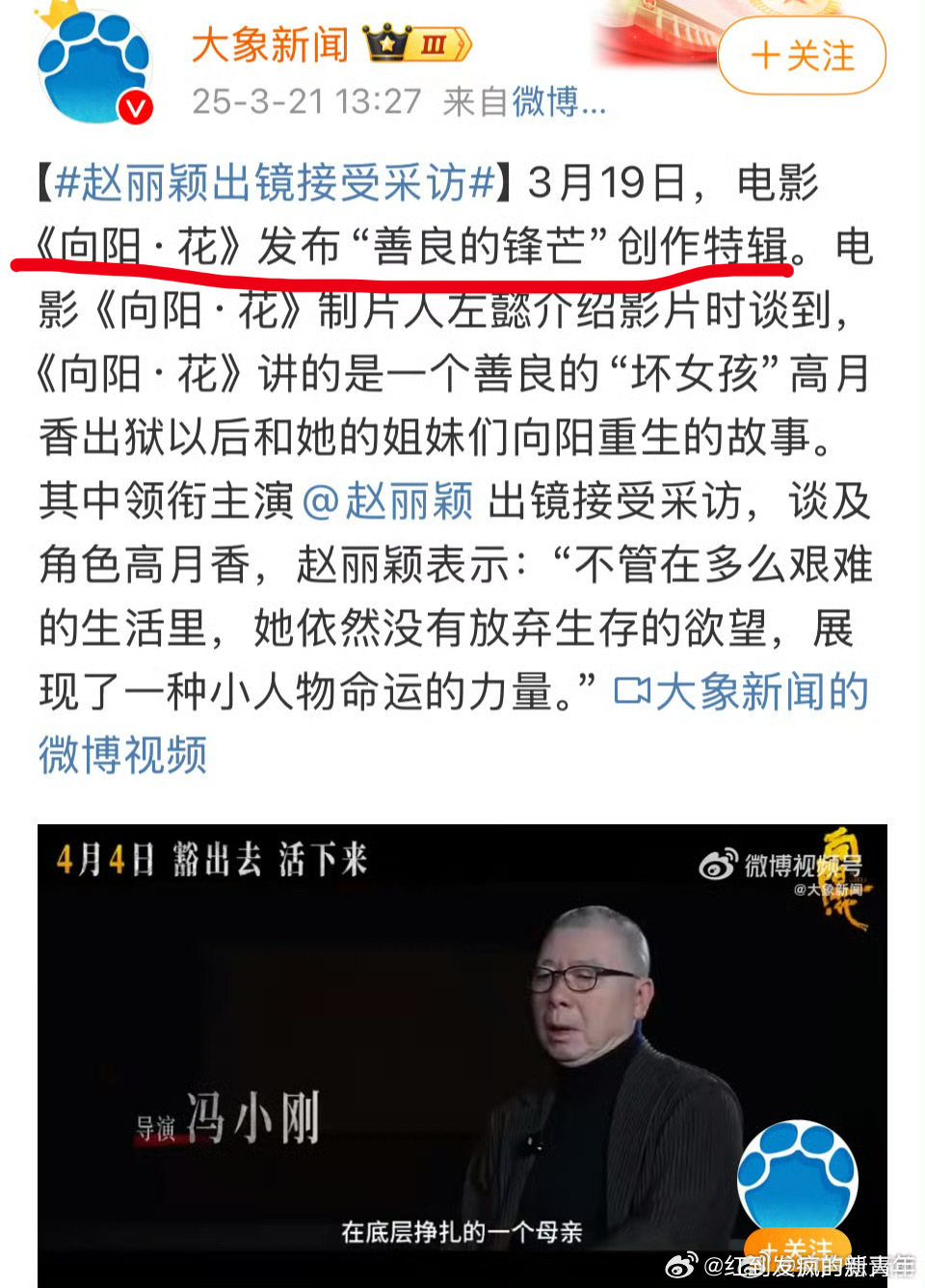 大象新闻 赵丽颖出镜接受采访向阳花回应赵丽颖争议好莫名其妙的打假[允悲]也很莫名