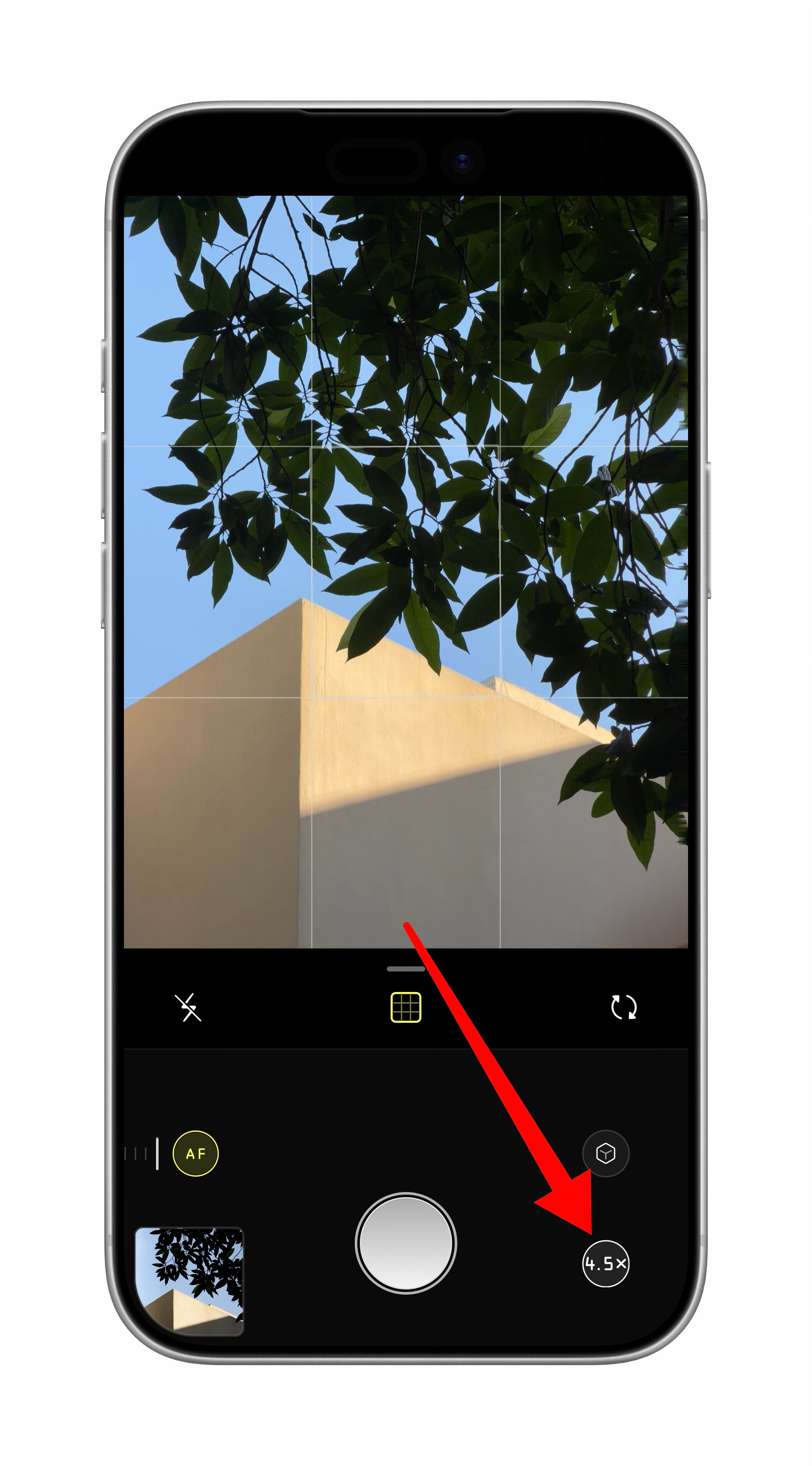 刚刚用适配完了iPhone 17系列的Halide相机的Process Zero