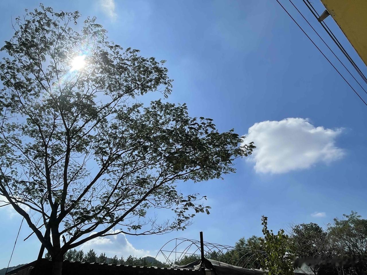 久违的阳光呀

窗棂忽然被撞进的金光唤醒，是久违的阳光终于冲破云层。它踮脚掠过积