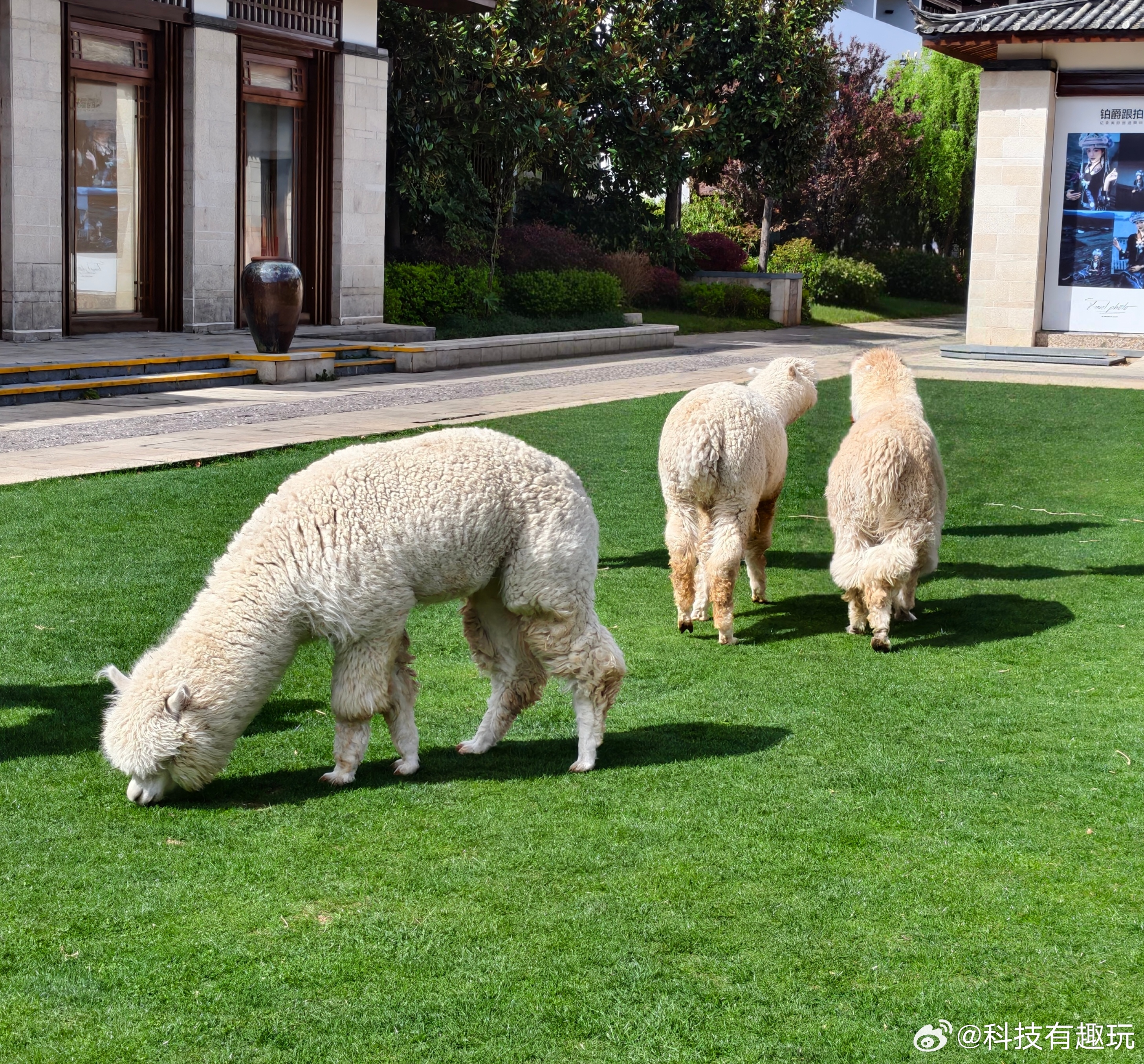 这趟航班旁边坐着对情侣，又是亲又是抱整了一路，真的是只要他们不尴尬尴尬的就是别人
