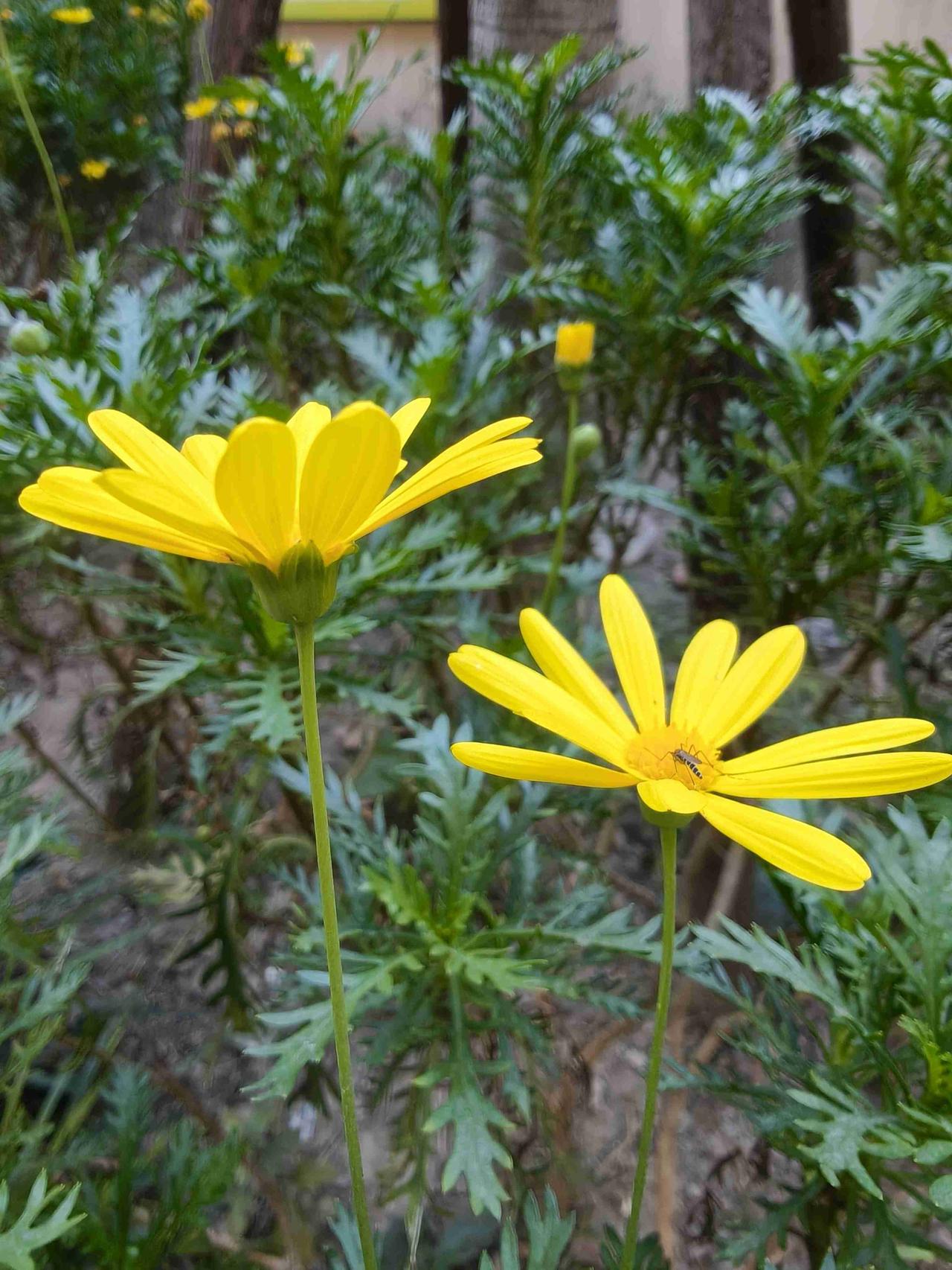 我的今日状态：🥲强颜欢笑
我这里的天气：☀️晴天
