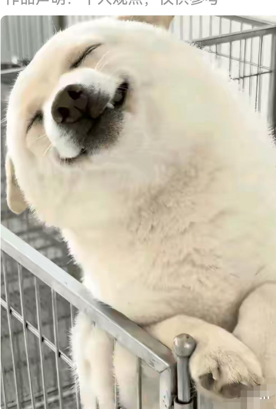 开心