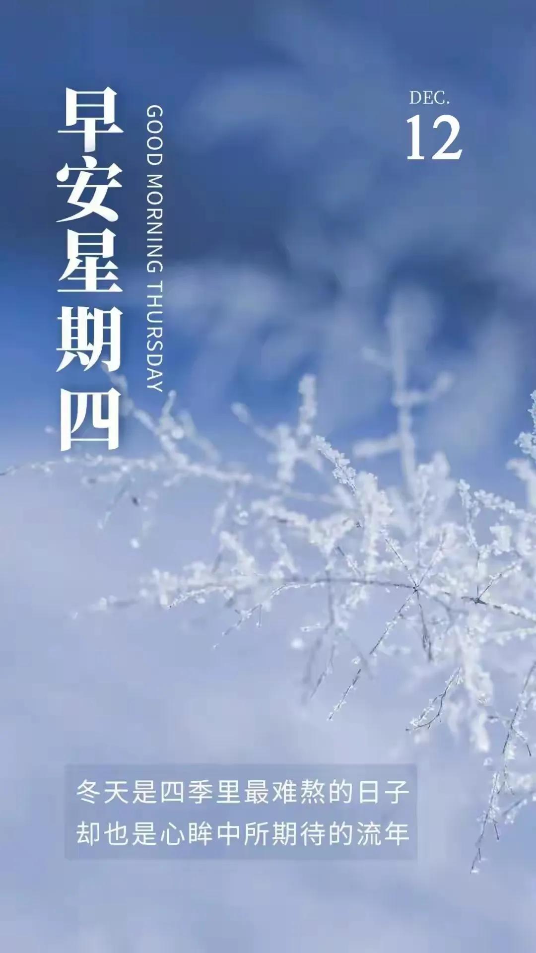 草地霜如雪，尘间雾似霭。。。
出屋寒透颈，驾骑冷削脸。。。

上联：人生不过葱姜