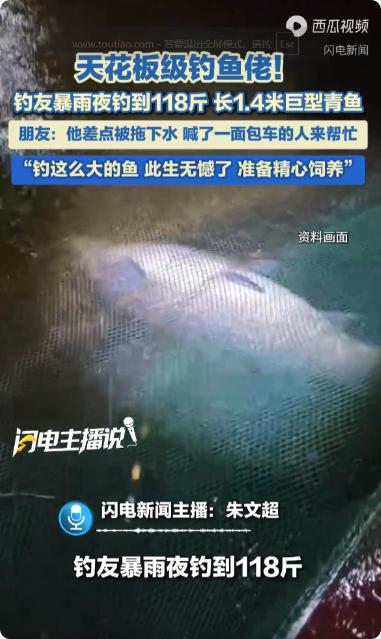 暴雨夜钓上118斤巨青鱼！广西河池，一大哥趁着暴雨，深夜在水库垂钓，结果一条大鱼