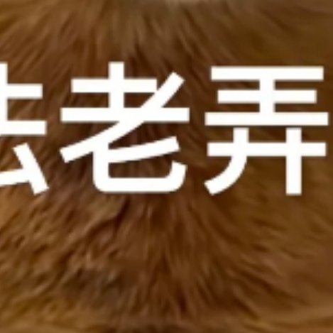0000荷花种植1、环境要求荷花适合生长在相对稳定的平静的积水地，比如浅水、湖沼