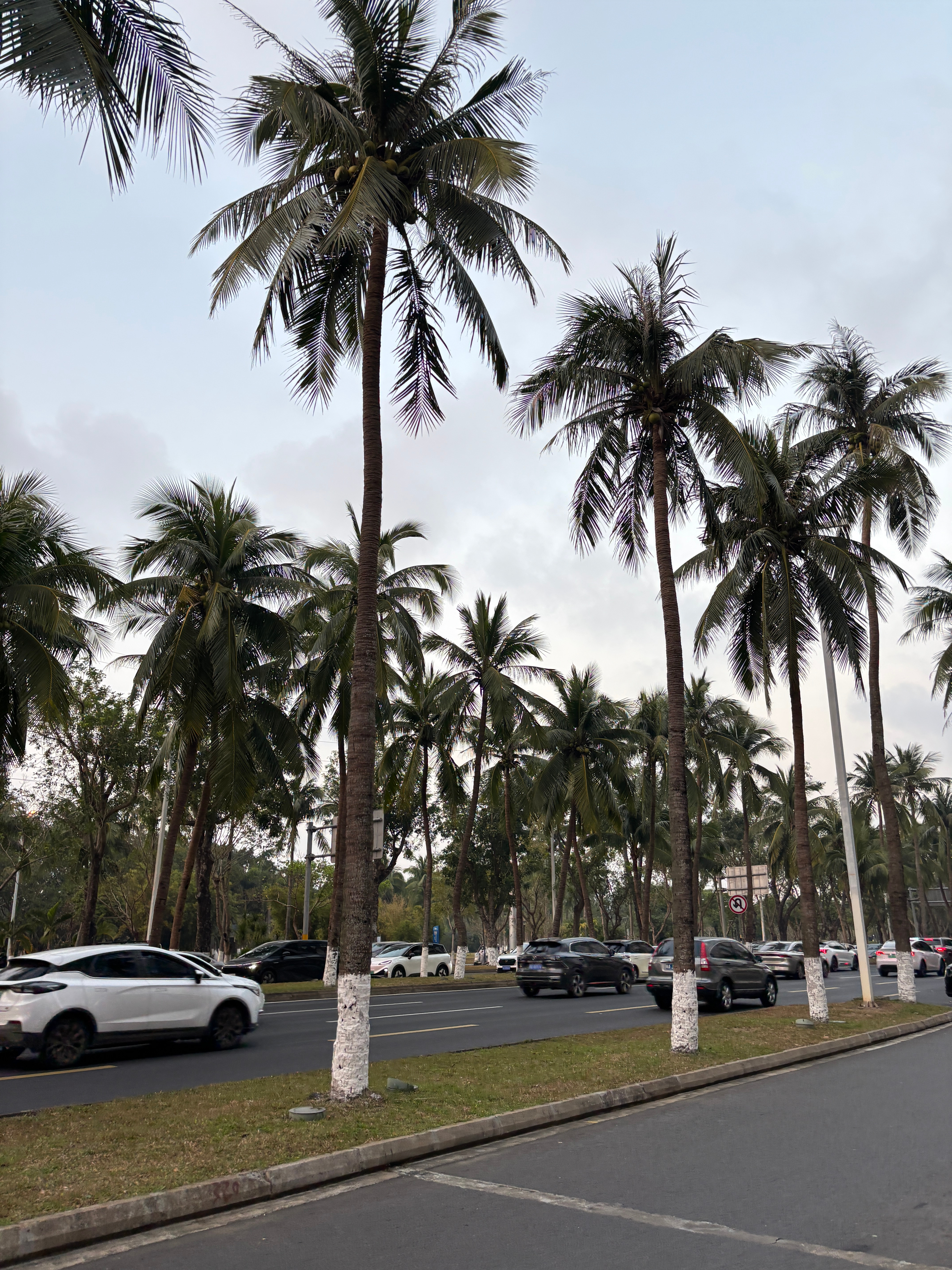 海口的空气真的好湿润啊，没走两步头发就塌了遇到了超级亮眼的P7，挺帅的 