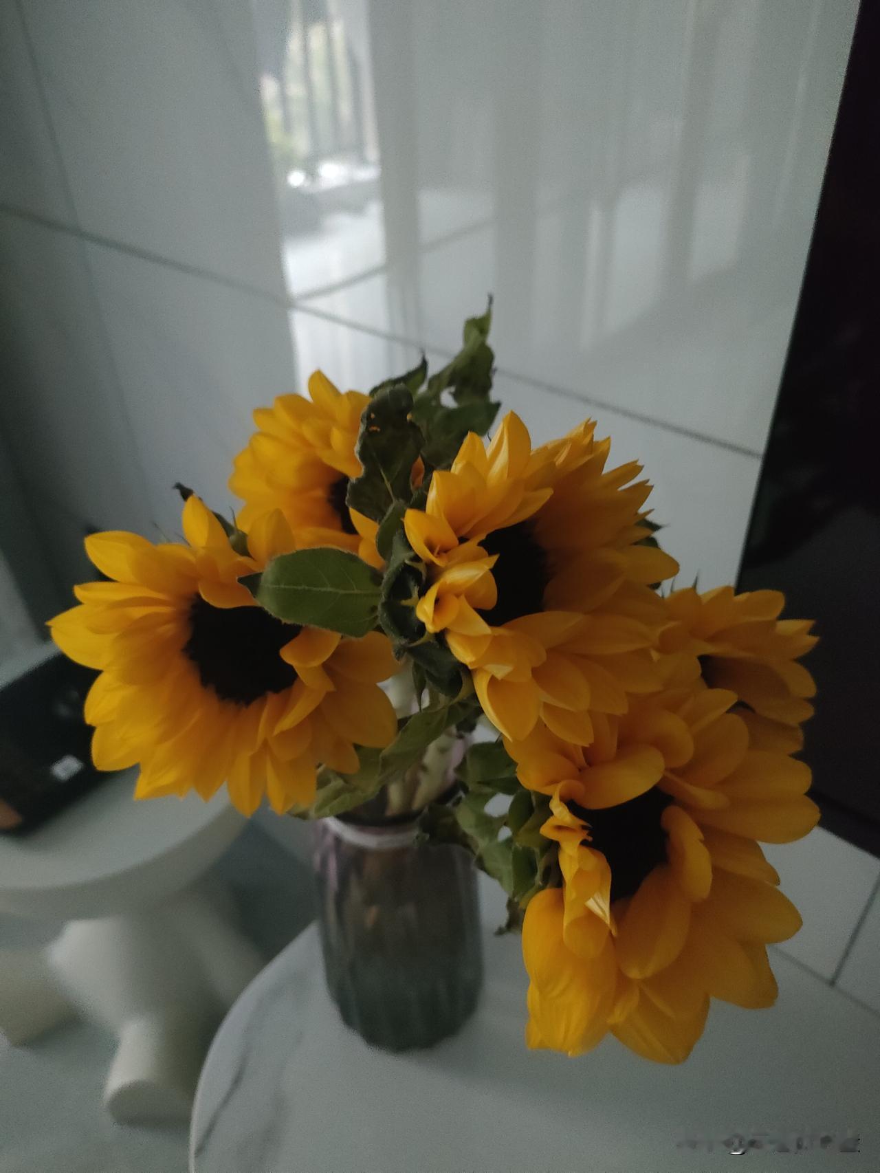 这向日葵往桌上一摆，整个屋子都亮堂起来了——跟几小颗太阳似的，黄灿灿的花瓣裹着深