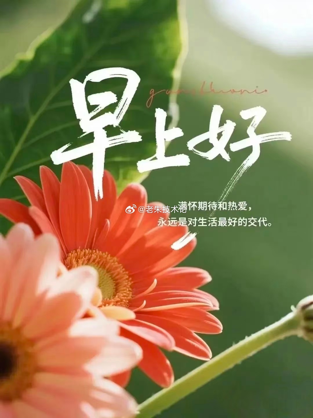 【周三，早安】愿你今天坏运气清零，好运气加满，喜欢美好，更喜欢自己，周三早安，好