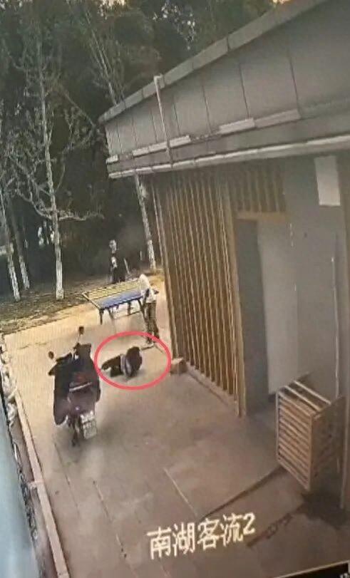 安徽铜陵，12岁男孩在公园打乒乓球，后退接球的瞬间，将身后捡瓶子的78岁老大爷撞