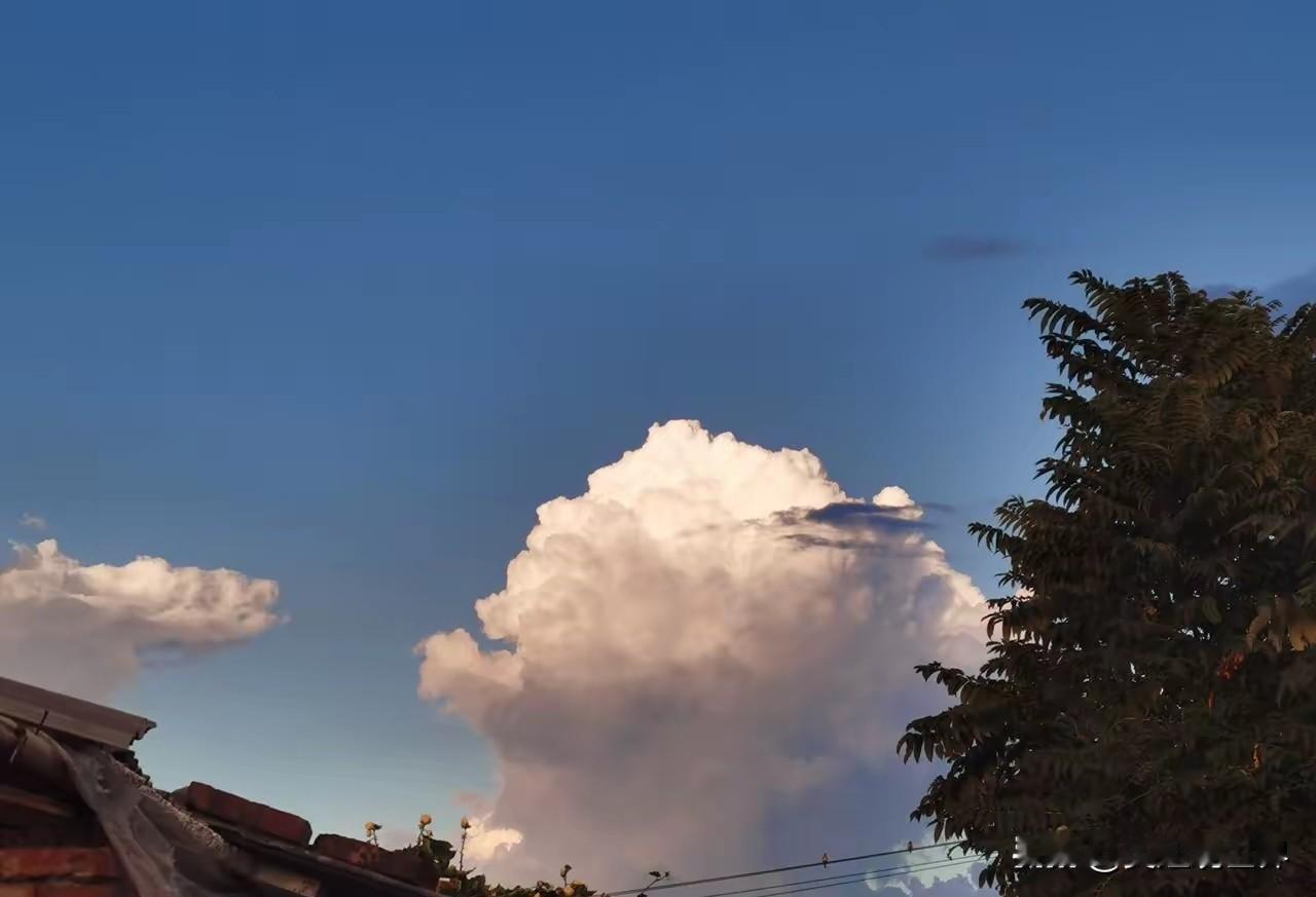 【家庭对话引发爱国热潮：年轻一代“硬核”表态令人动容】

昨晚家里因为高市早苗的