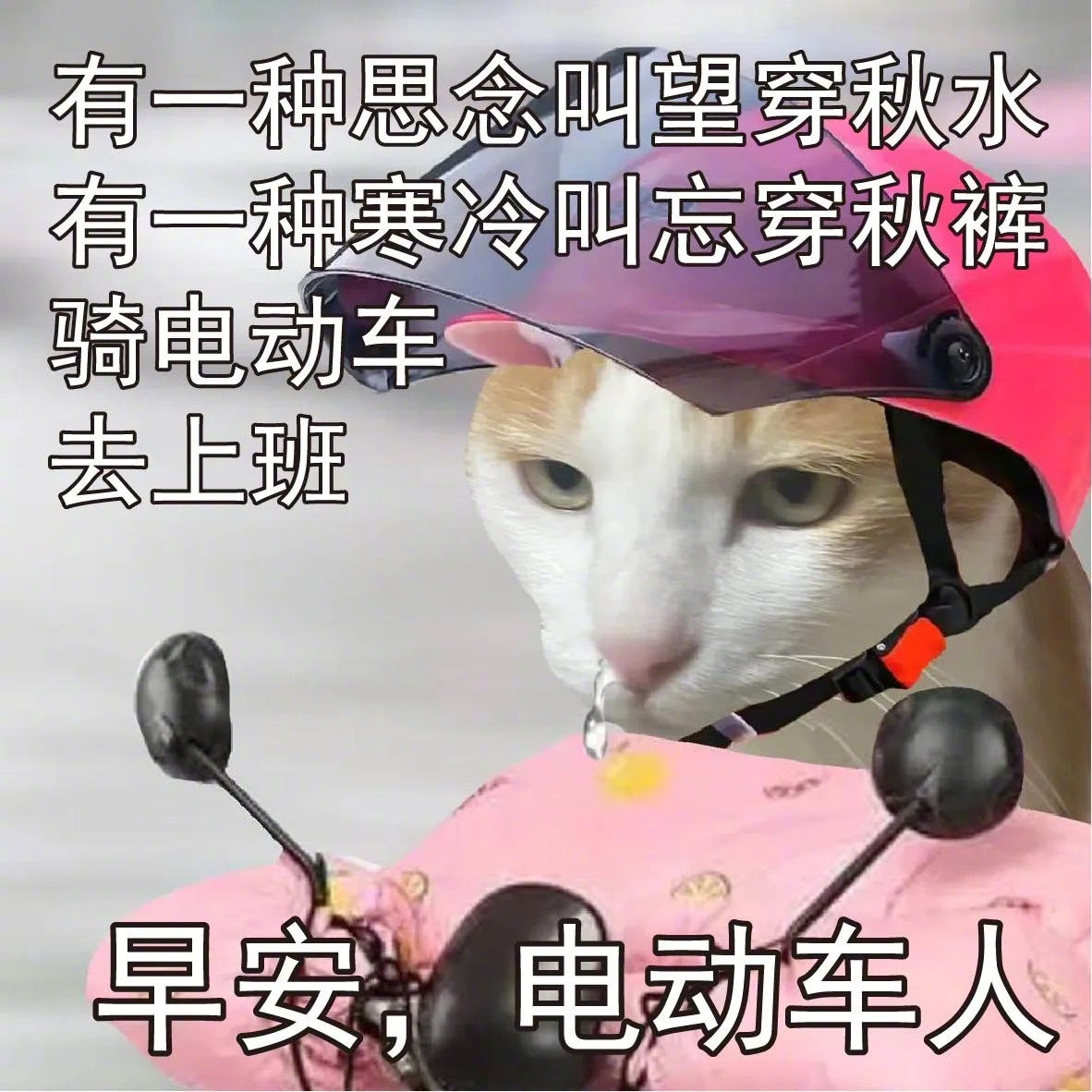 这天气早起上班跟卖火柴的小女孩有什么区别[苦涩] ​​​