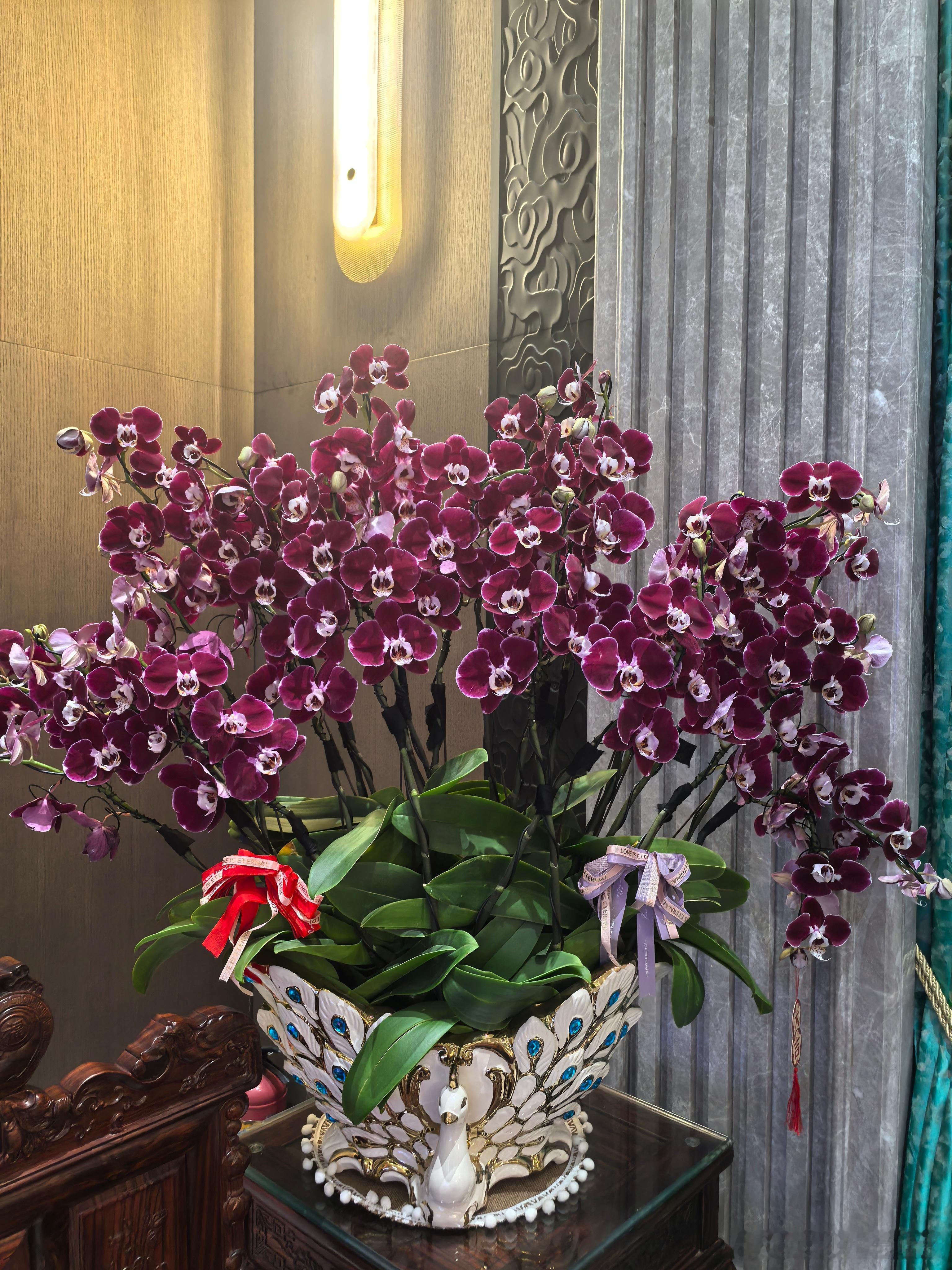 初六去表弟家郊外别墅玩了一天，喝茶，吃饭，摘花摘草，摘青菜，在自己垒的土灶做柴火