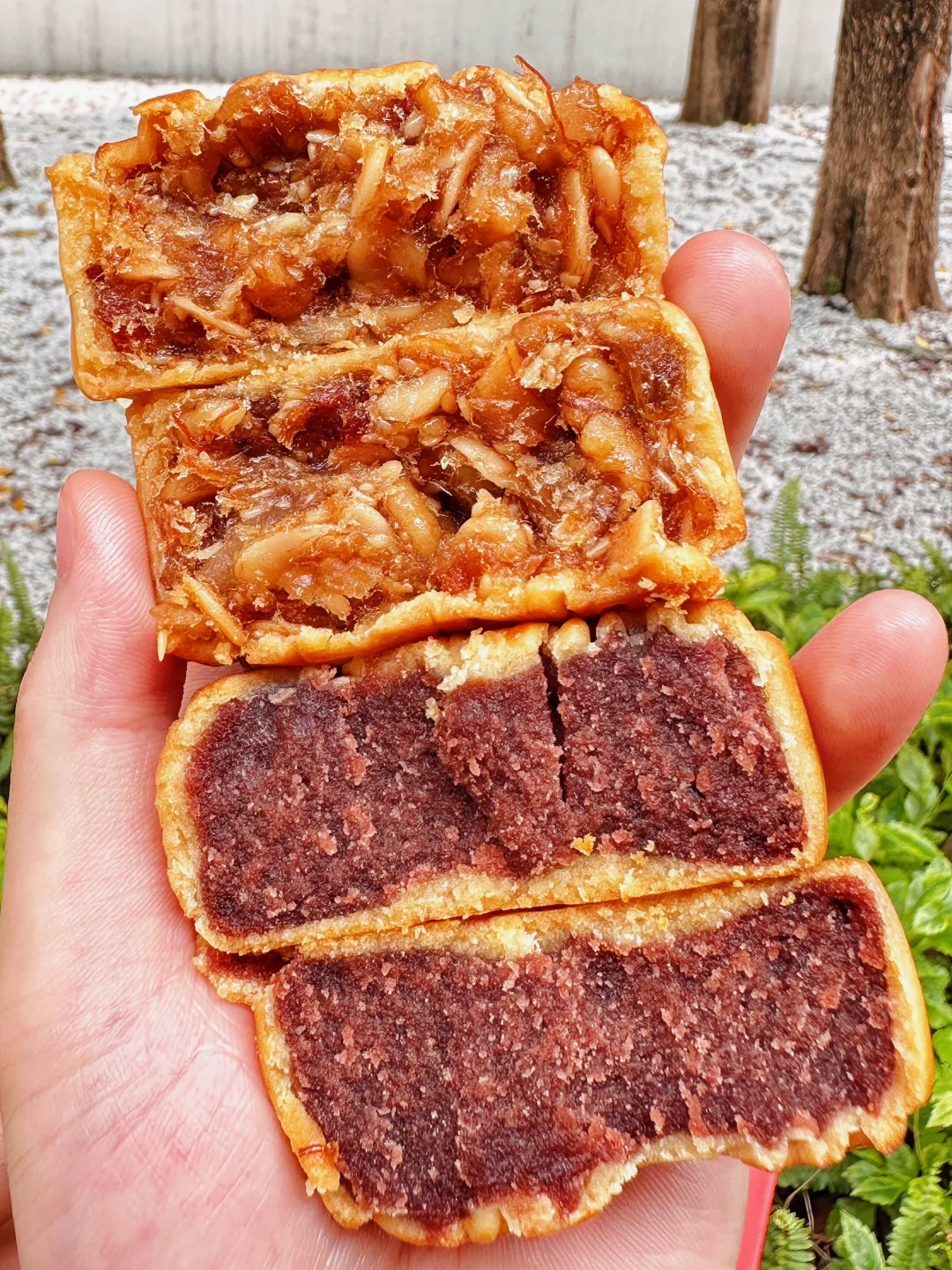 只有广东人才懂这口月饼的含金量。。。🥹