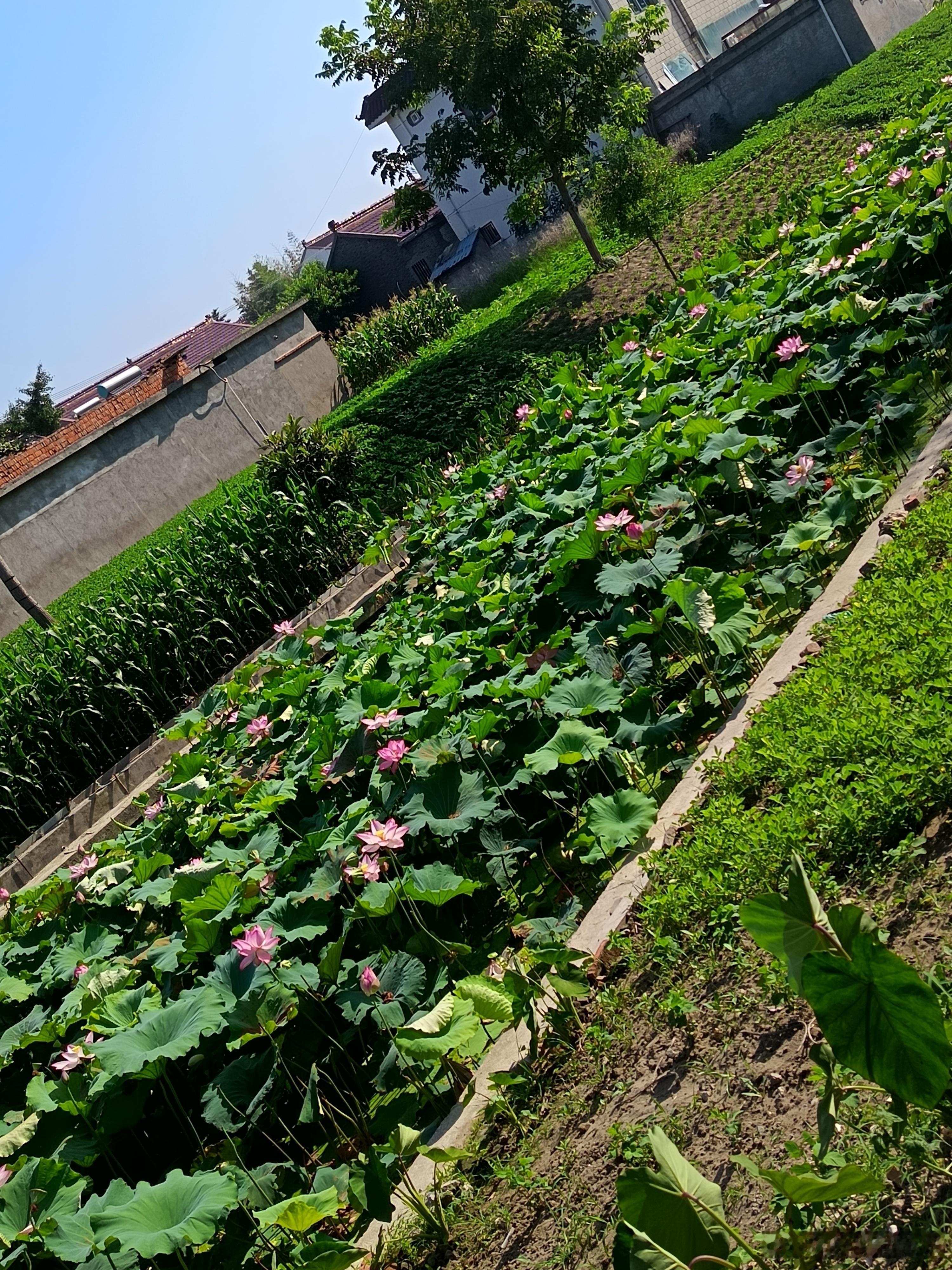 爱因斯坦在观察元培后世界社会，终于放心了！这些人以不能在地球，地区取代其它种族人