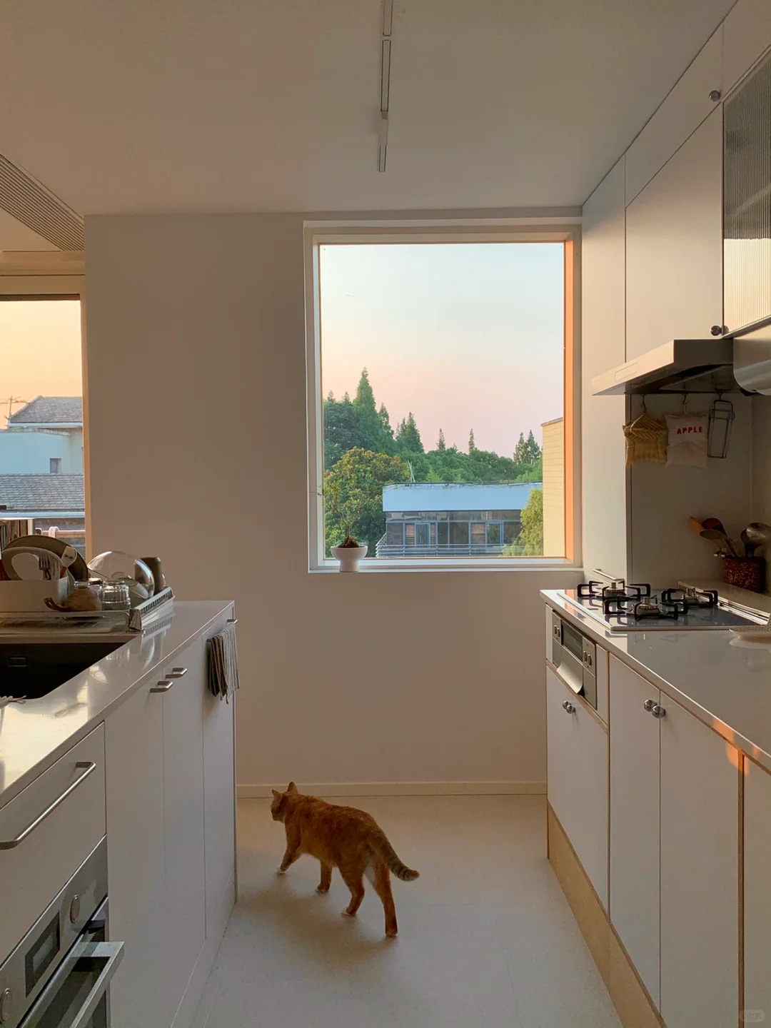 漫画一样的夕阳🧡