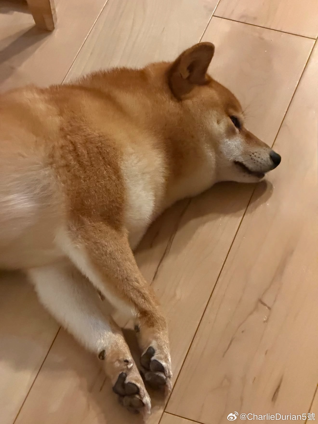 分享图片 ​​​