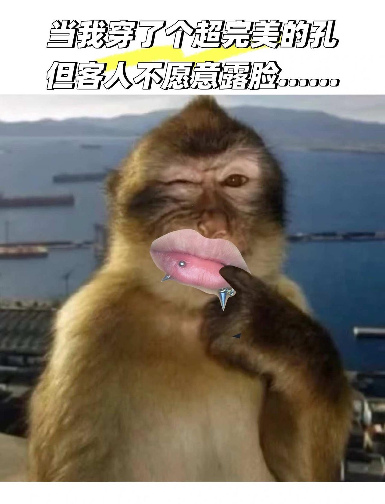 当我打了个超完美的钉……
好多顾客想晒穿孔又怕露脸，
我干脆直接给全网表情包都打