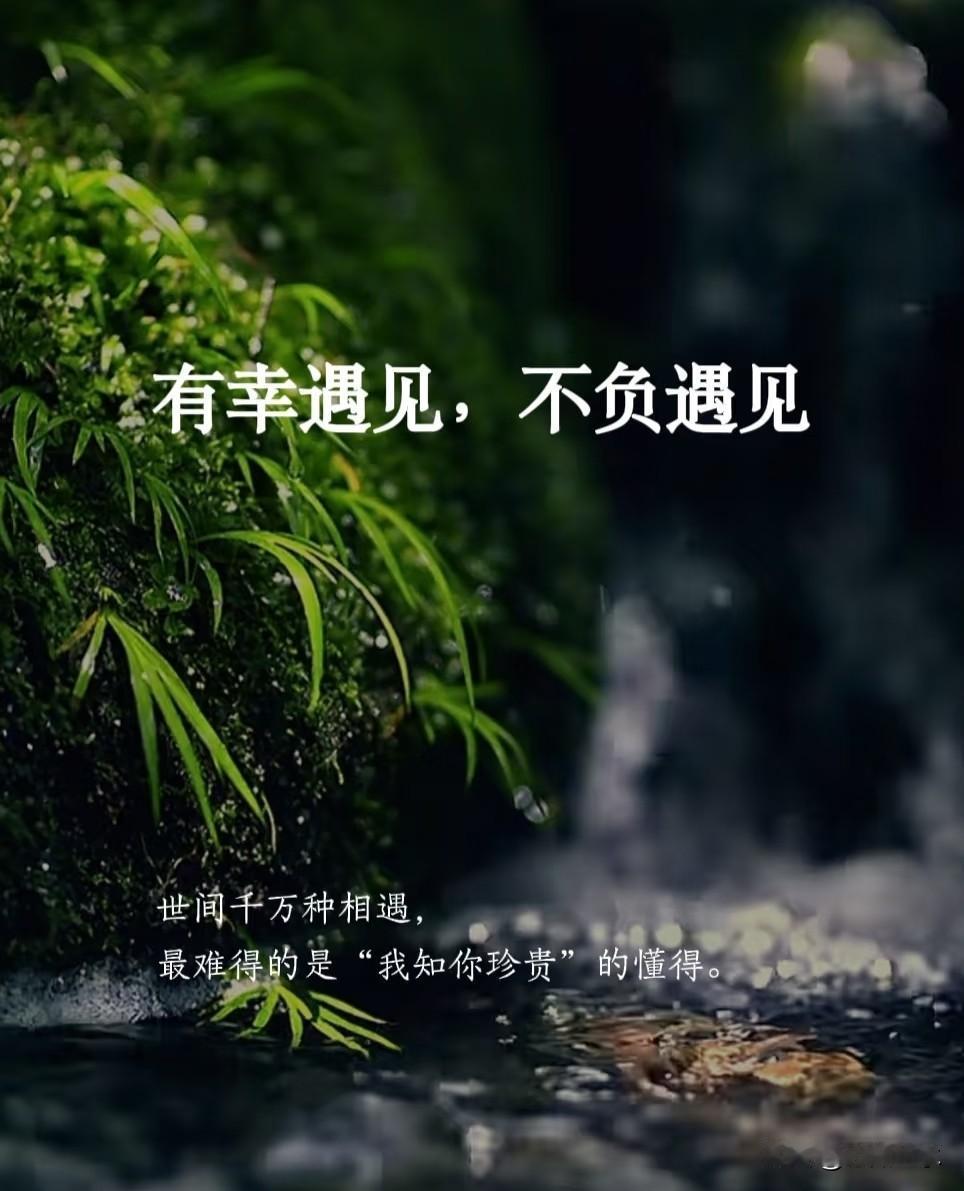 遇见懂你灵魂的人有多难？这一回胜过漂亮一千次你信吗

人间的爱，样子太多，眼睛容