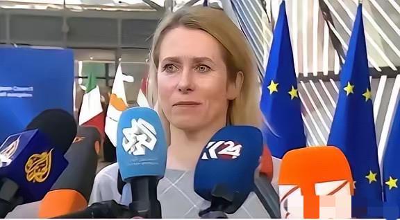 就在最近，欧盟彻底撕破脸。直接将中国从耗资 935 亿欧元的 “地平线欧洲” 科