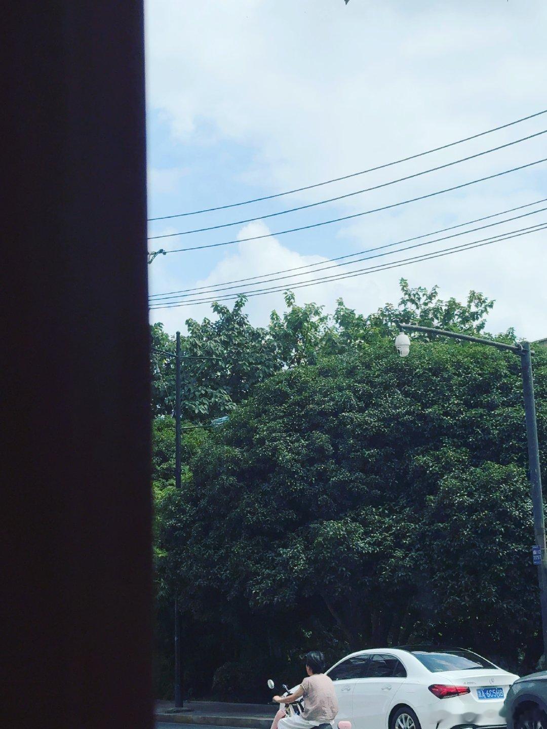 最近报了课程，认真学习拉花。老师说，没有技巧，就是多练，形成肌肉记忆。 ​​​
