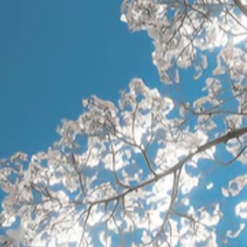 每日一善  每日一善   阳光信用 努力让自己变强，什么时候都不晚努力的意义，不