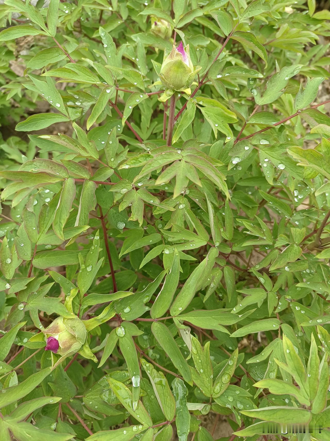 那些无视历史事实，无视已经民主法治化的社会现实，至今坚持阶级斗争意识的人，总爱问