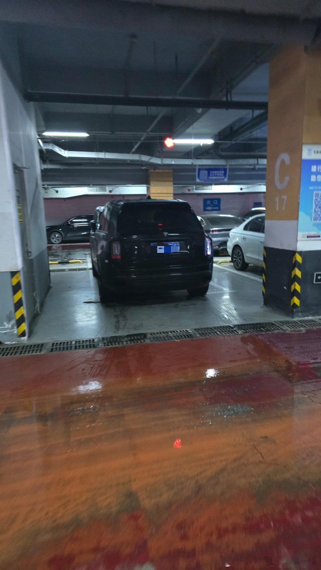 库里南 豪车超跑 这车主真低调，车停到角落里，而且车头扎进去，不仔细看都不认不出