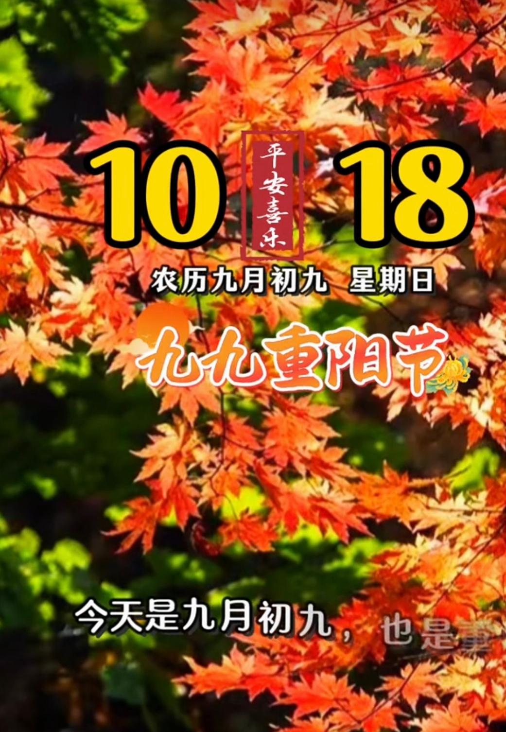 重阳节
      岁岁重阳，今又重阳。农历九月初九，秋高气爽，丹桂飘香，又是一