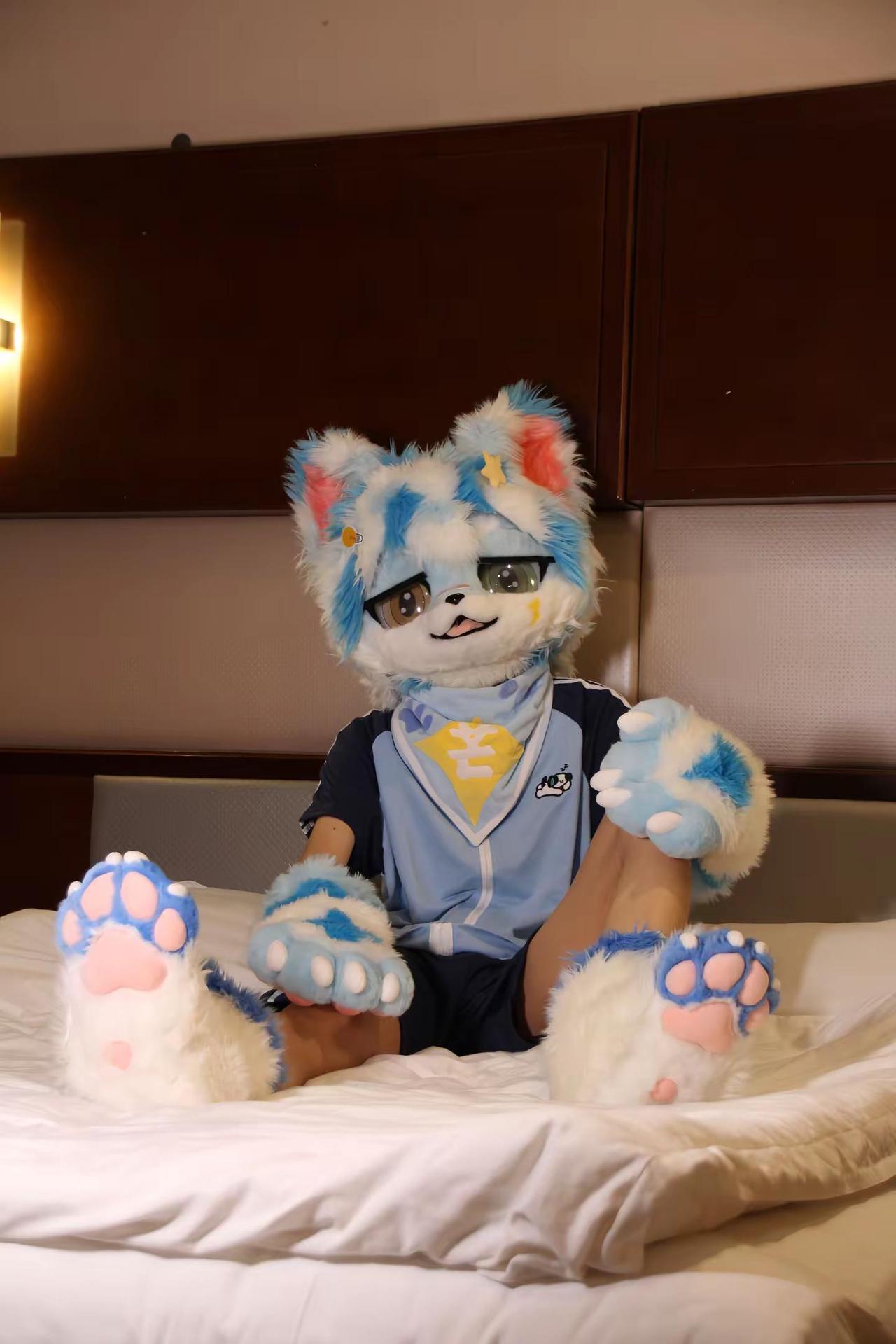 万物终归向海 何必衔木石来可爱 少年感