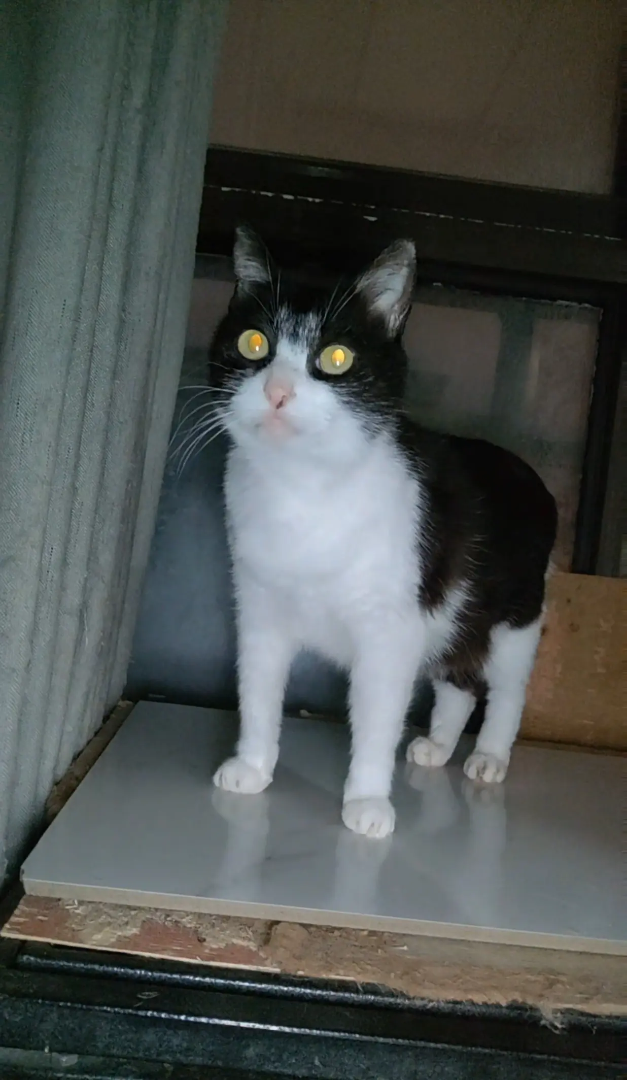 支持立法，呼吁立法！