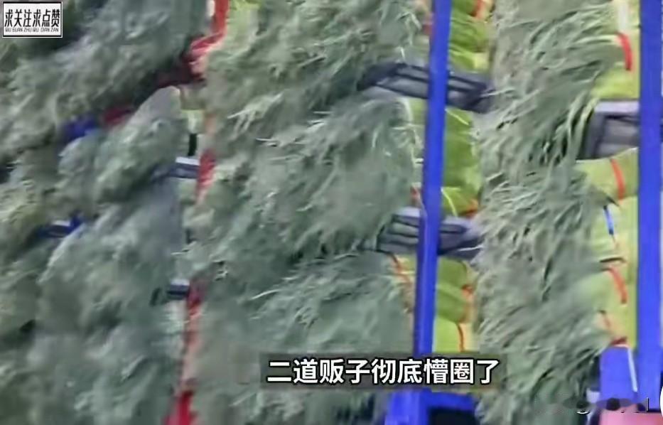 这蒜苔积压在冷库了，使劲扛价，老百姓买不着蒜苔，都让二道贩子放库里了。
这下好了