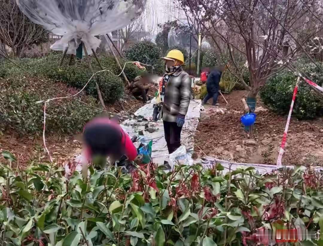 陕西西安，12名农民工给一楼盘绿化工程干完活，通过验收，可32万多工资，开发商和