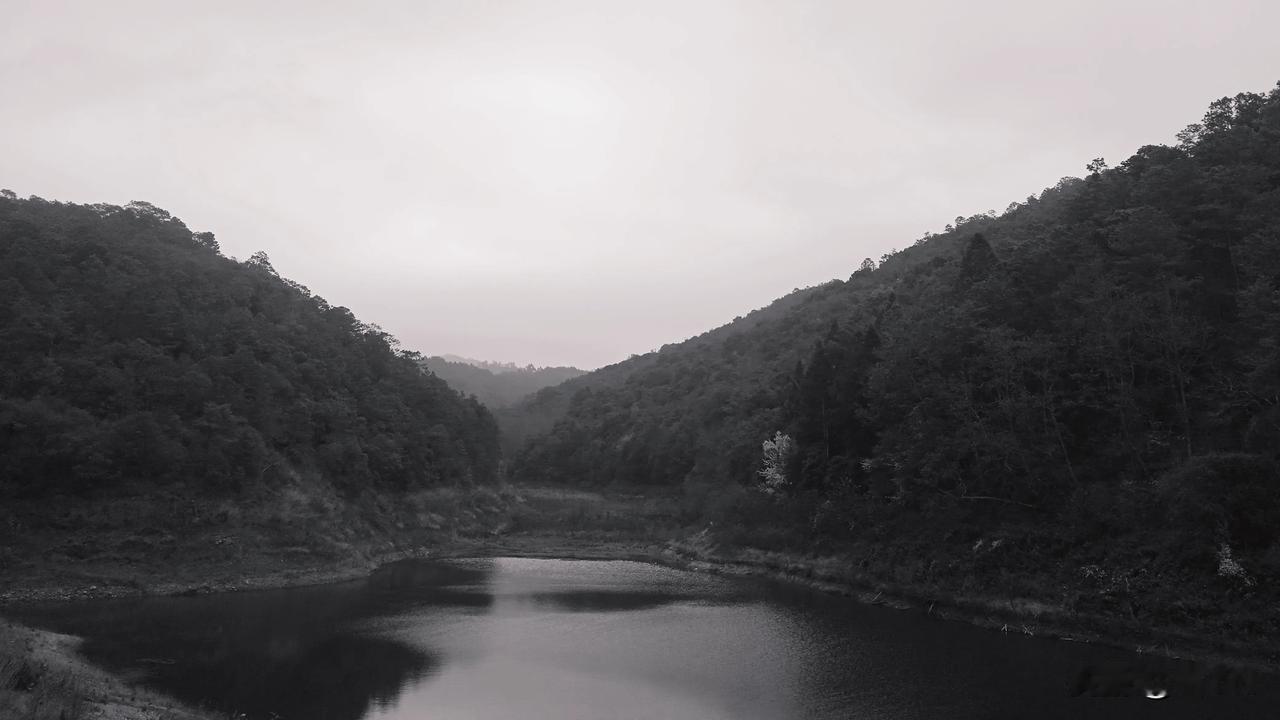 小山村，发生稀奇事啦！上山打麂子，打死了同伴。记得是往年的事了，山里还能持枪打猎